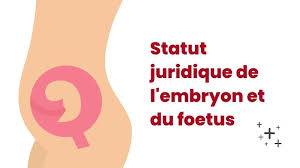 Actualités  PALMADE - Statut du foetus - Quand devient-on une personne